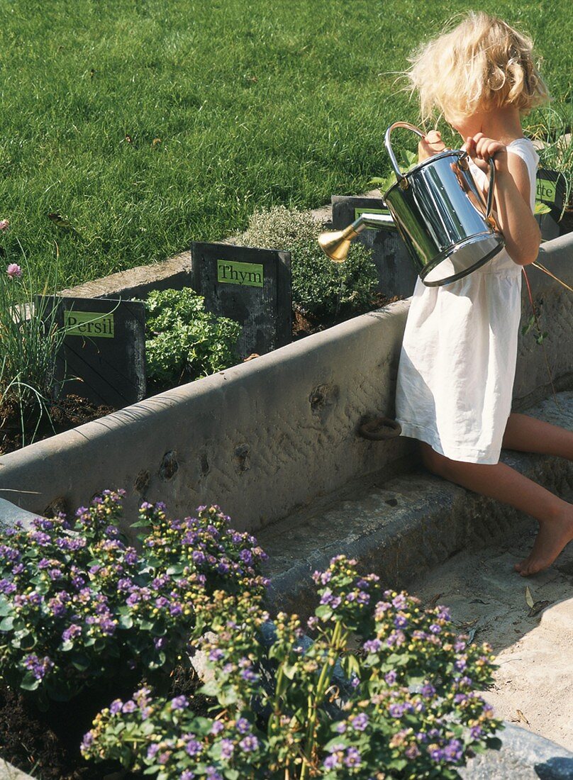 Kleines Mädchen giesst Kräutergarten