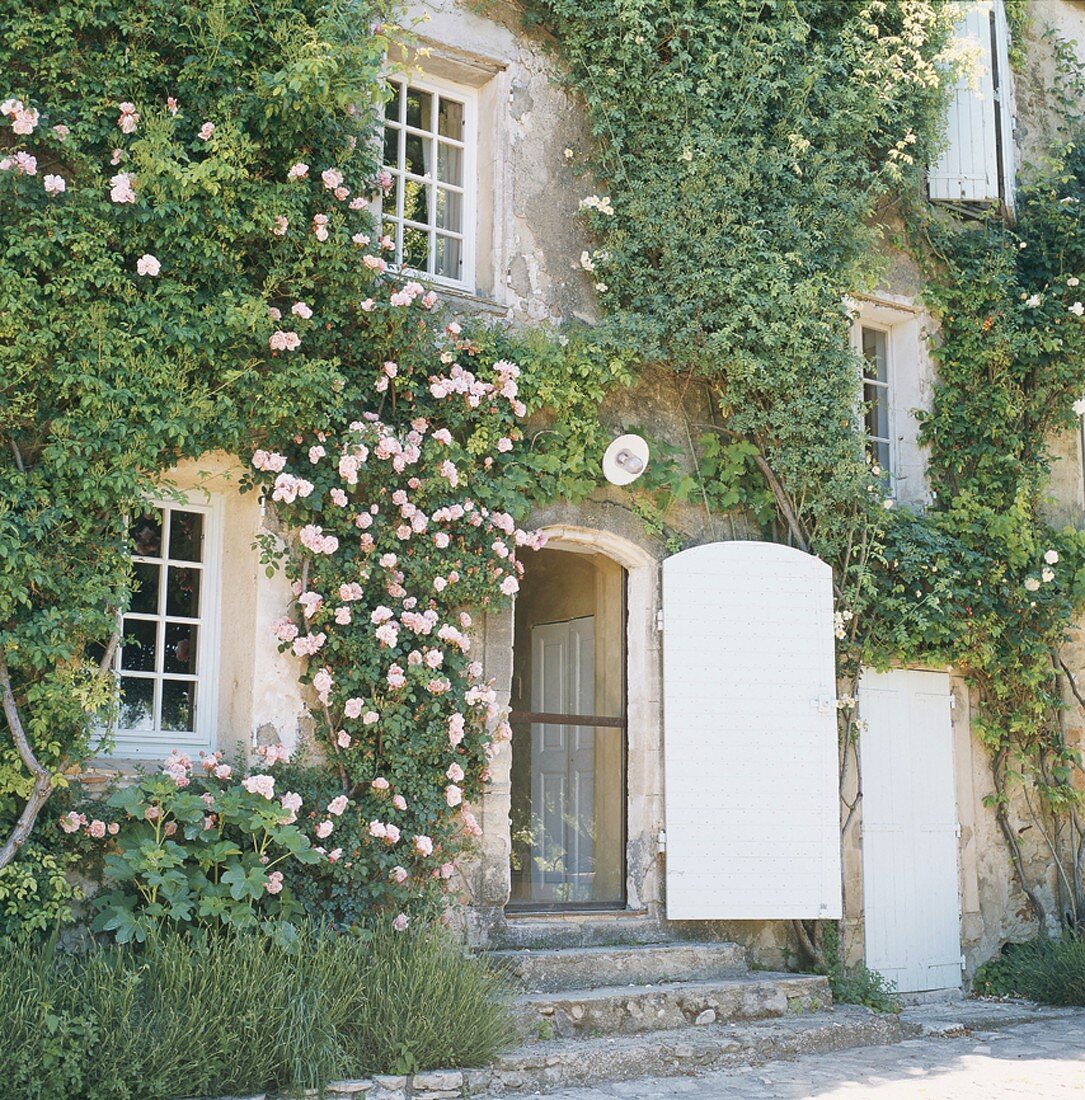 Eine mit Efeu und Blumen berankte Hausfassade mit Sprossenfenstern und weissen Holztüren
