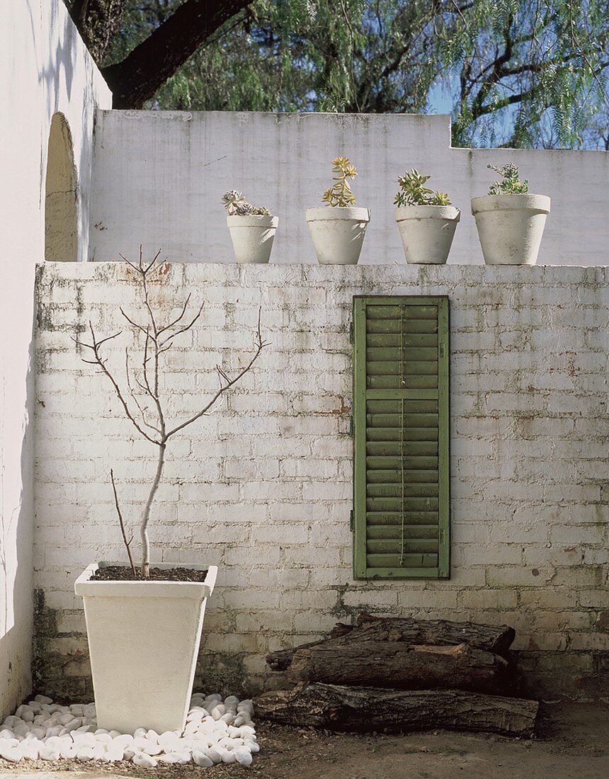 weiße Blumentöpfe auf und vor einer halbhohen Ziegelmauer mit grünem Fensterladen