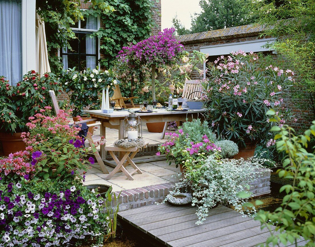 Garden terrace with summer flowers