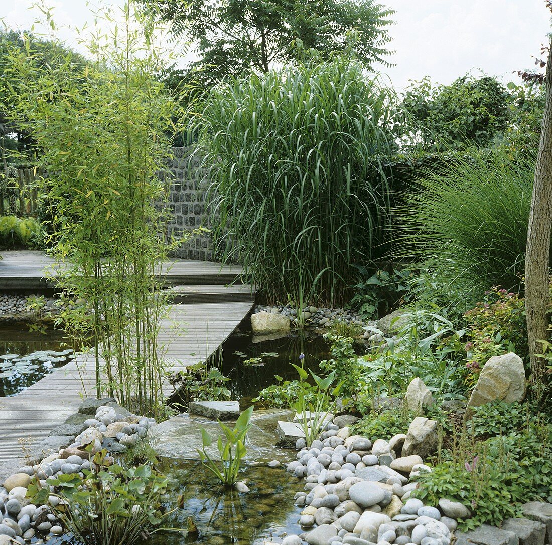 Garden with pond and footbridge