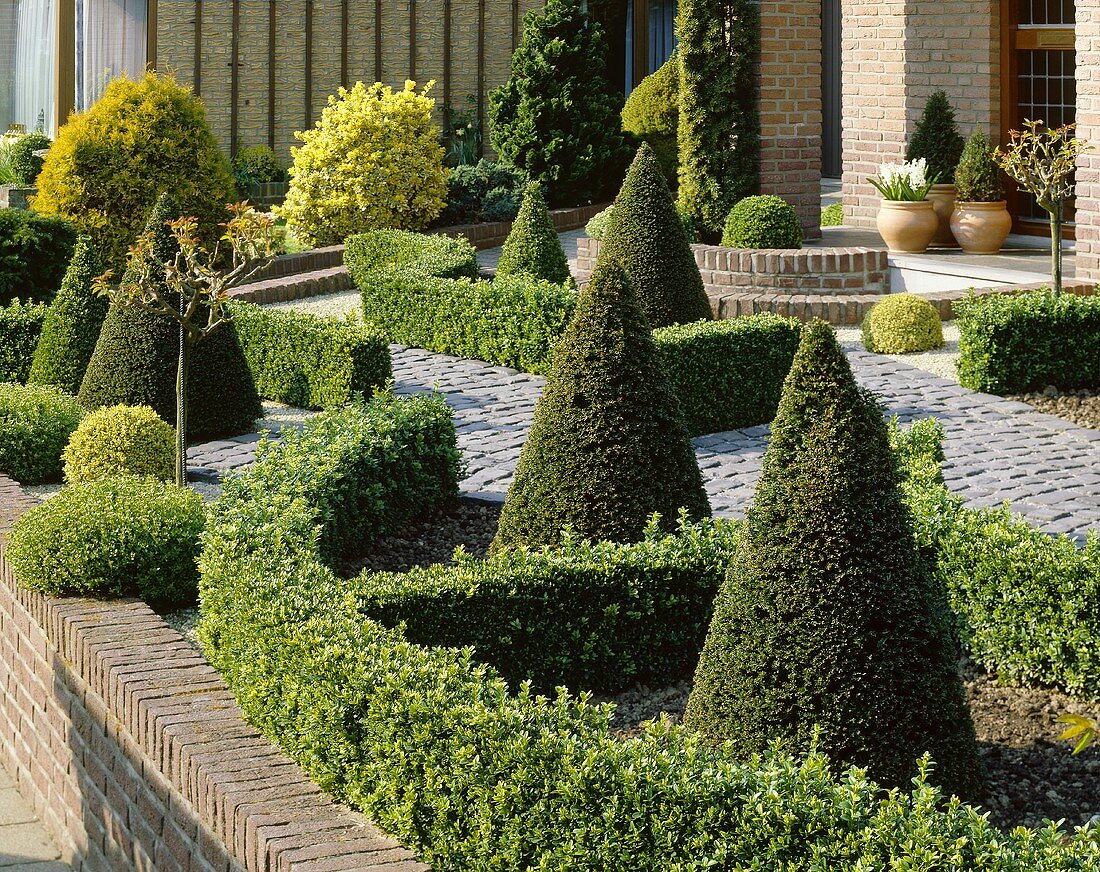 Ornamental garden with clipped hedging plants