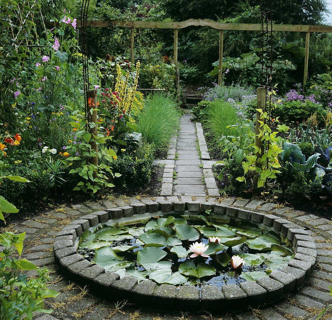 Small water lily pond in garden