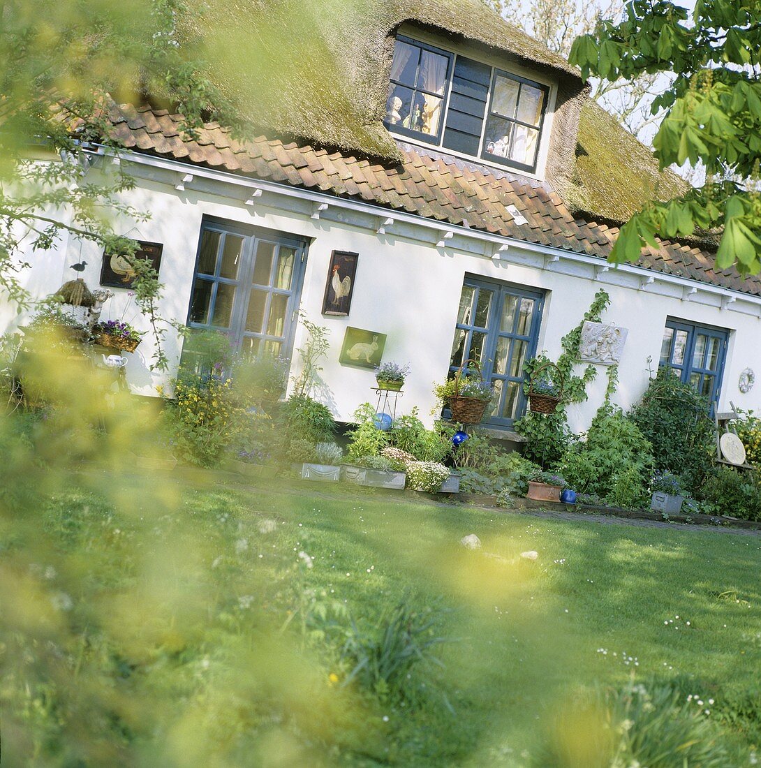 Reetgedecktes Haus mit blauen Fenstern und mit einem groß angelegten Garten