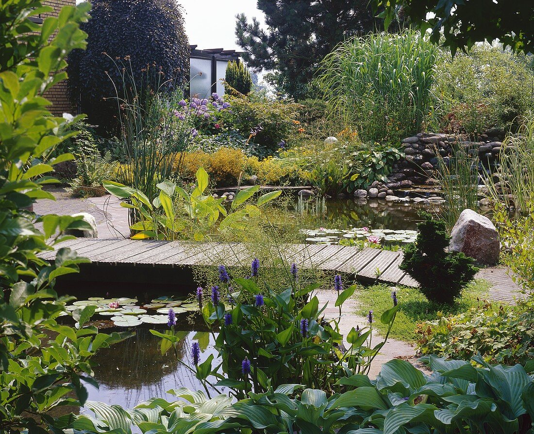 Teich mit Pflanzen und einer Brücke