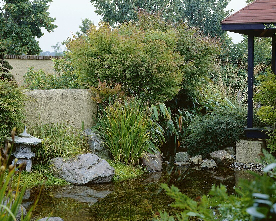 Japanese garden with small pond