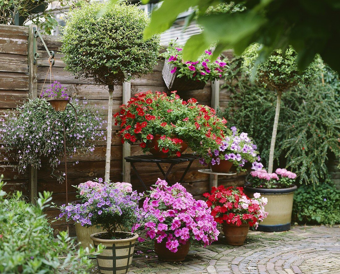 Gartenterrasse mit blühenden Kübelpflanzen