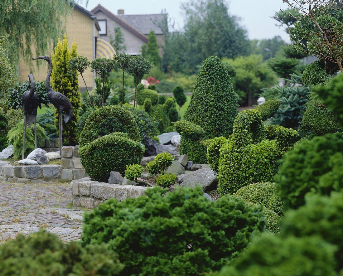 Ziergarten mit Buchsbaum-Dekoration