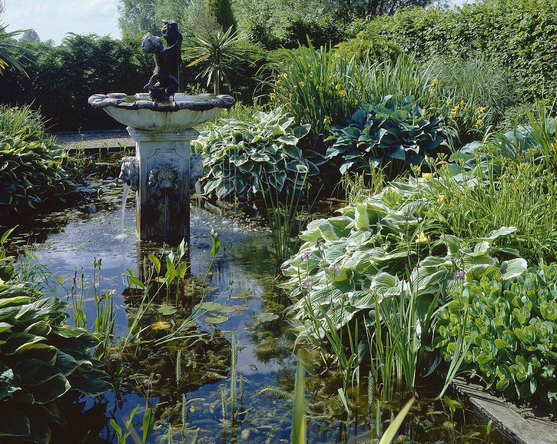 Garden pond with fountain