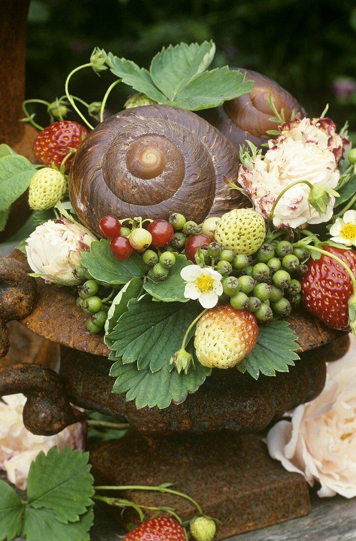 Summer decoration: snail shells, berries & roses in rusty vase