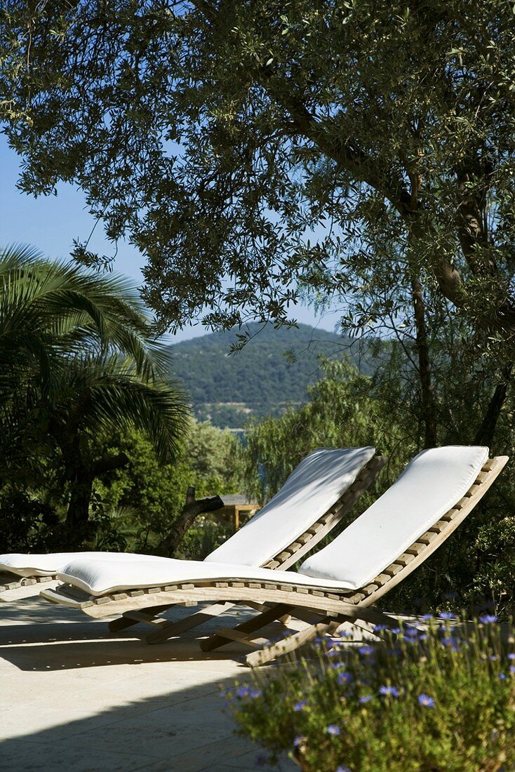 Sun loungers in garden