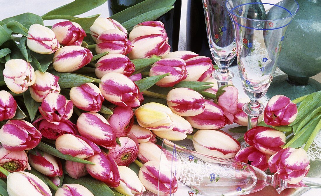 Pinkfarbene Tulpen auf einem Tisch mit Gläsern