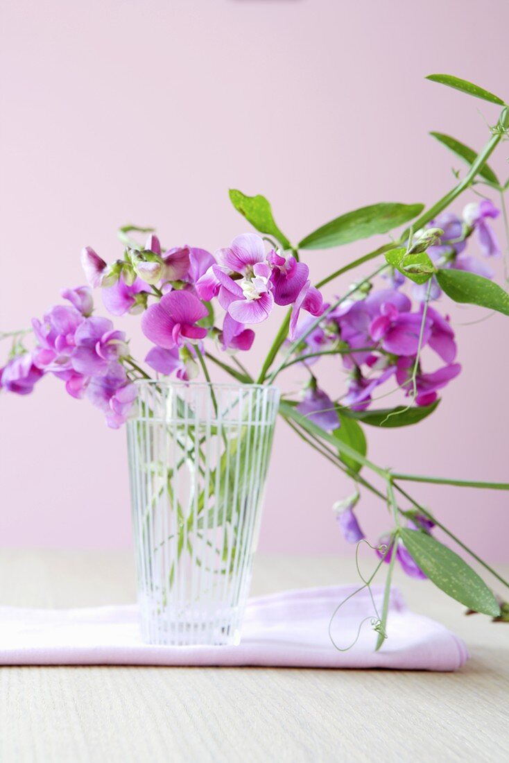 Sweet peas in a vase