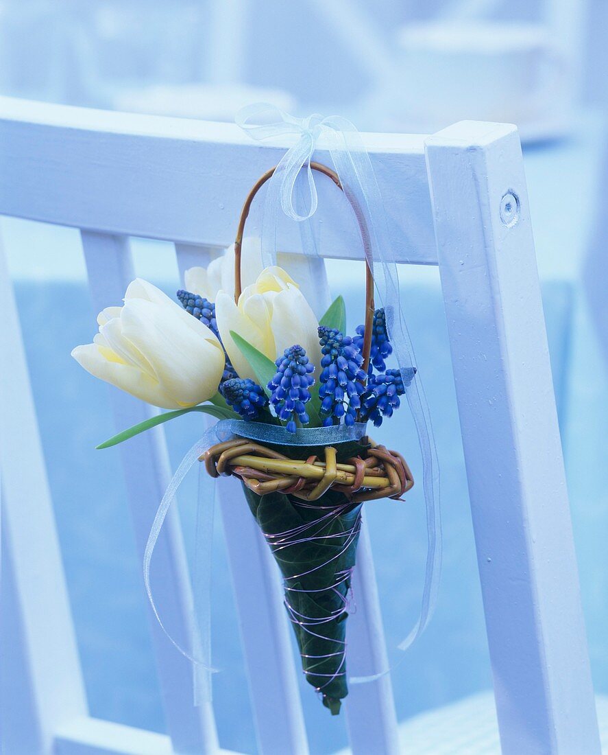 Posy of tulips and grape hyacinths in a wicker basket