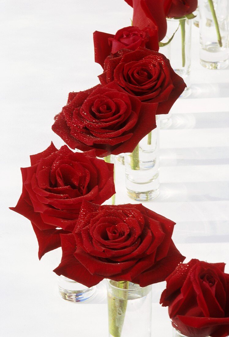Rote Rosen in kleinen Gläsern