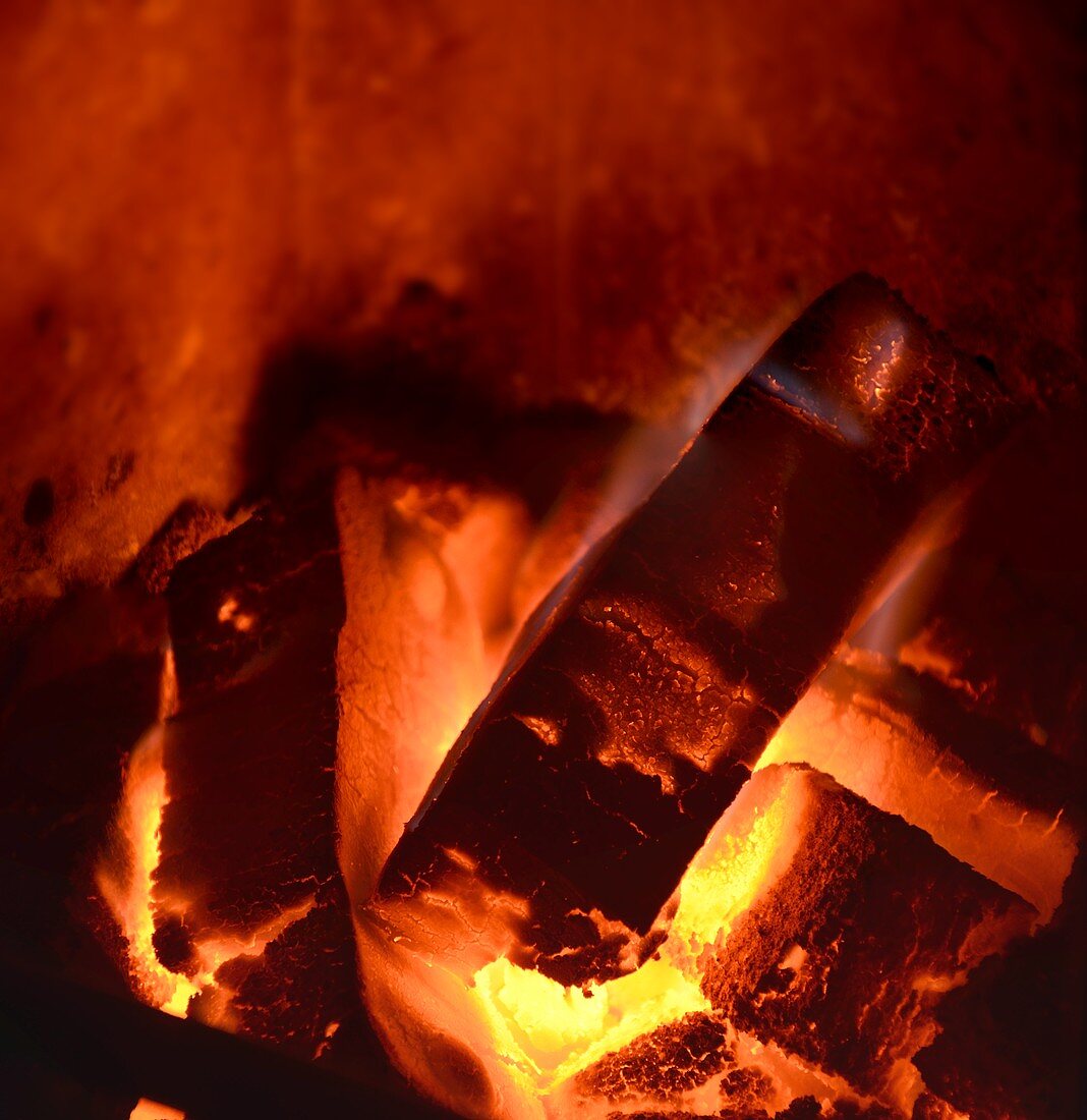 Briquettes in an oven