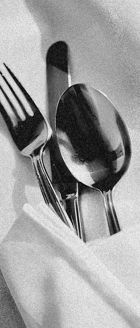 A knife, fork and spoon wrapped in a napkin