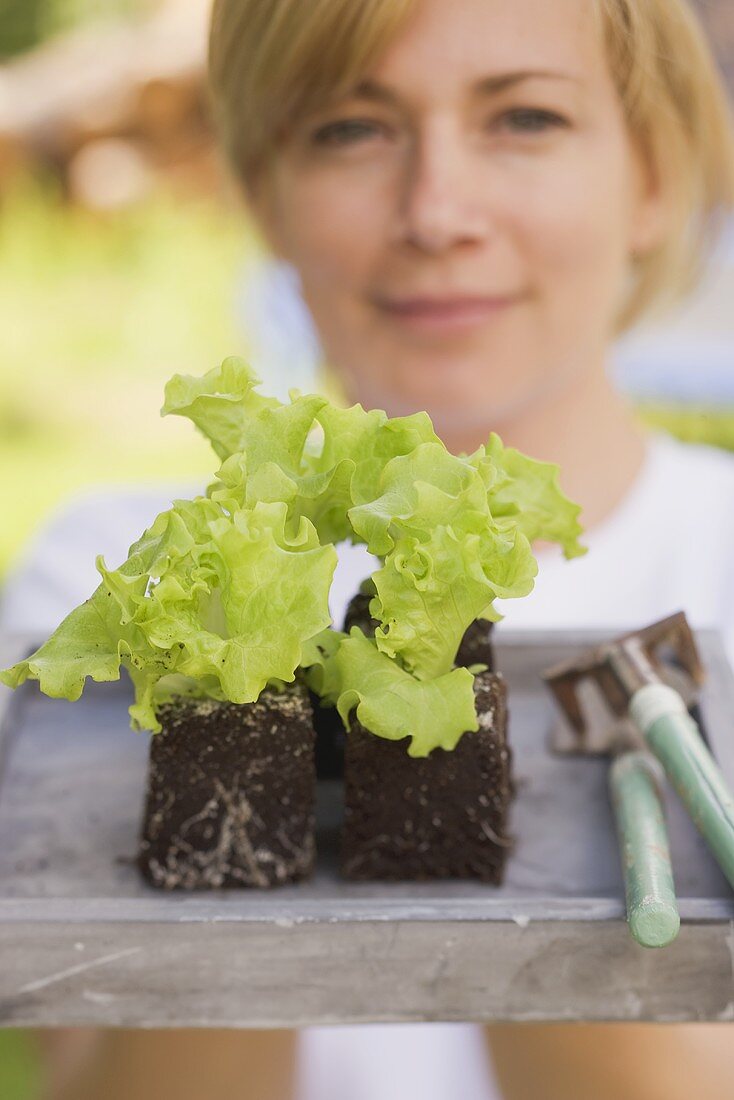 Frau hält Salatpflanzen und Gartenwerkzeug