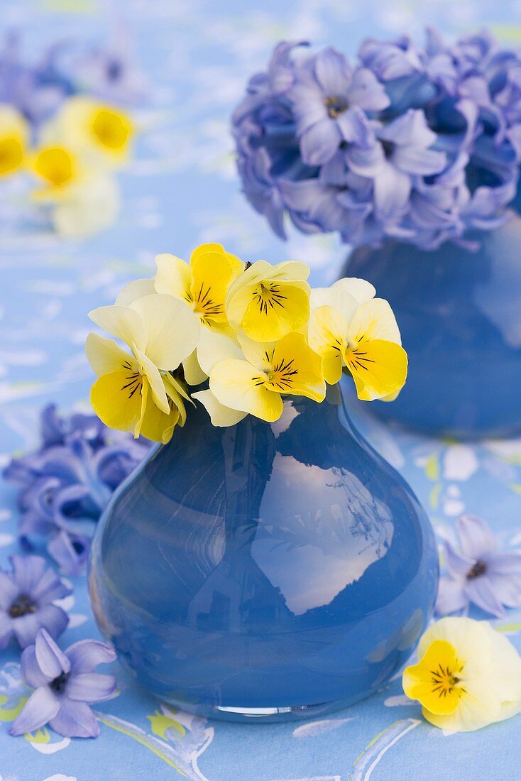 Hornveilchen und Hyazinthen in blauen Vasen