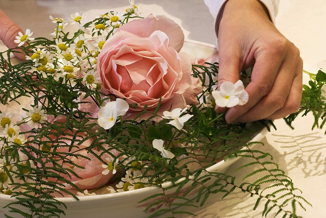 Making an arrangement of roses, coral fern & horned violets