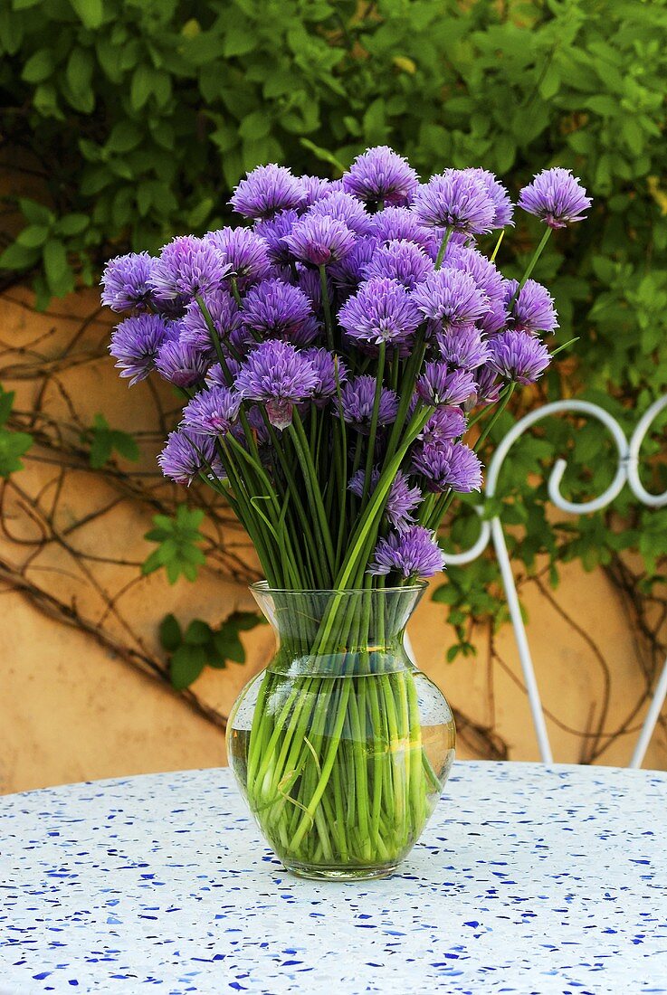 Chive flowers in a vase