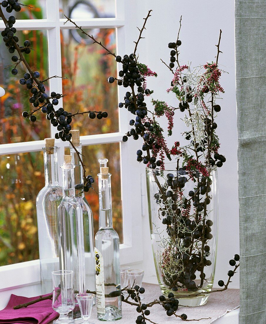 Bottles of sloe gin, sloe branches and heather
