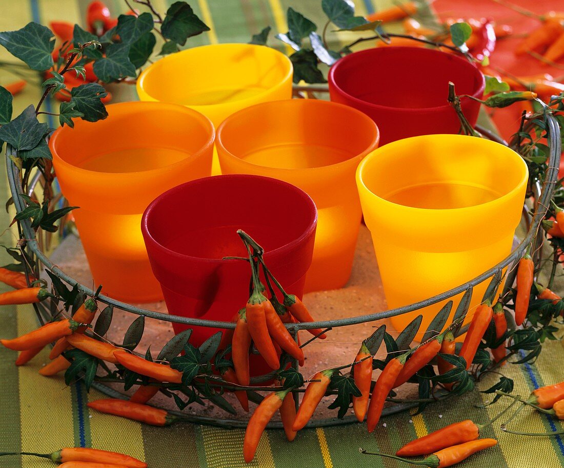 Ornamental peppers & ivy around tray of candle glasses