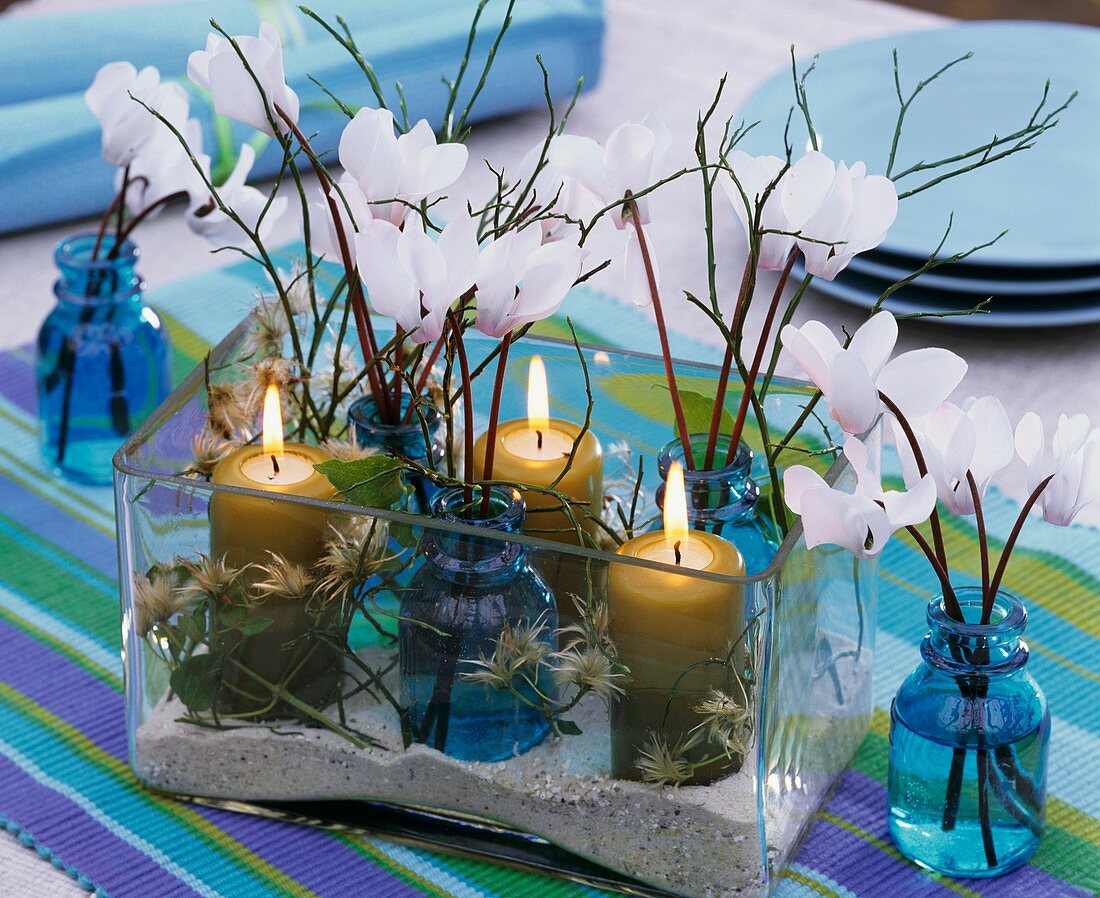 Alpenveilchen, Blaubeerzweige, Samenstände von Clematis und Kerzen im viereckigen Glas