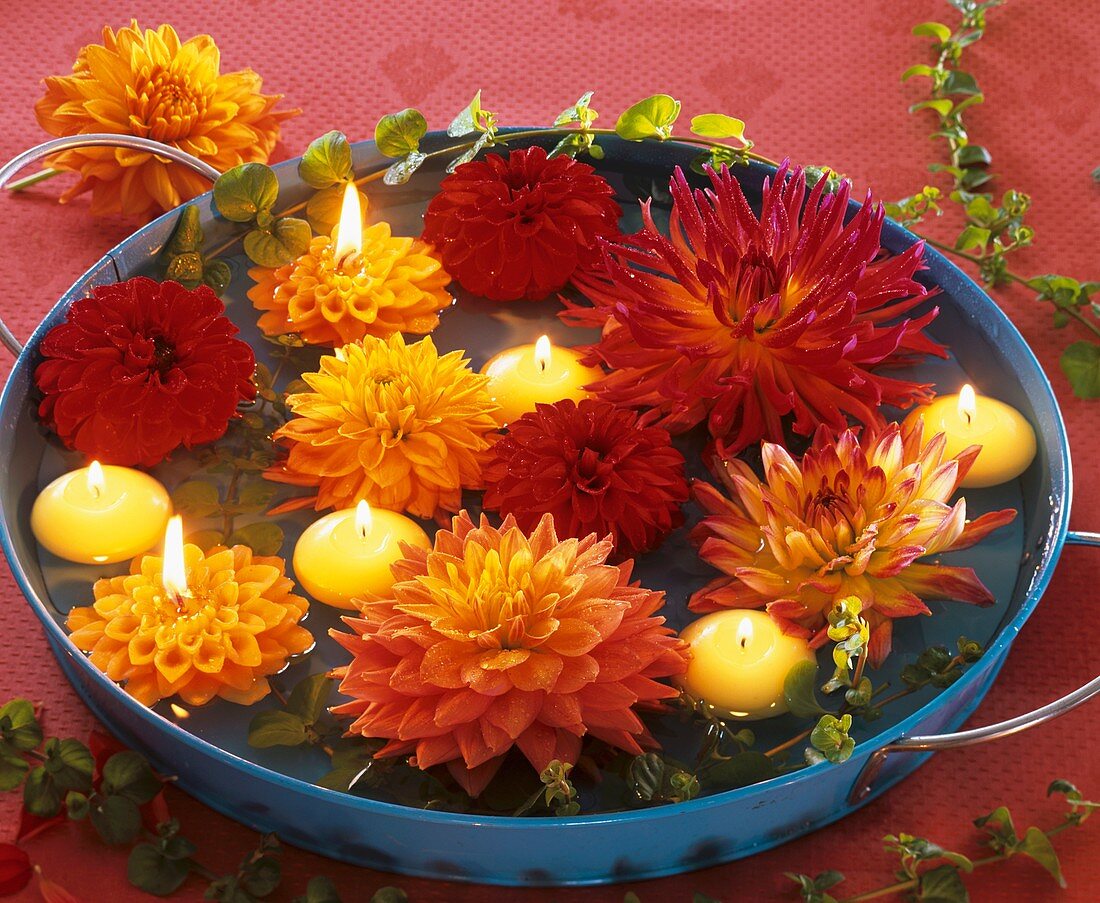 Dahlia flowers with creeping Jenny and floating candles