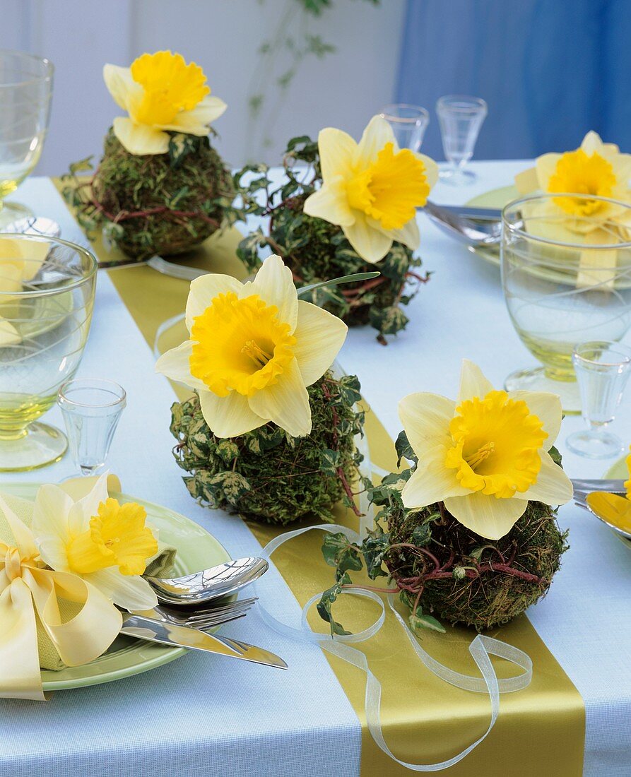Table decoration of narcissi and moss balls