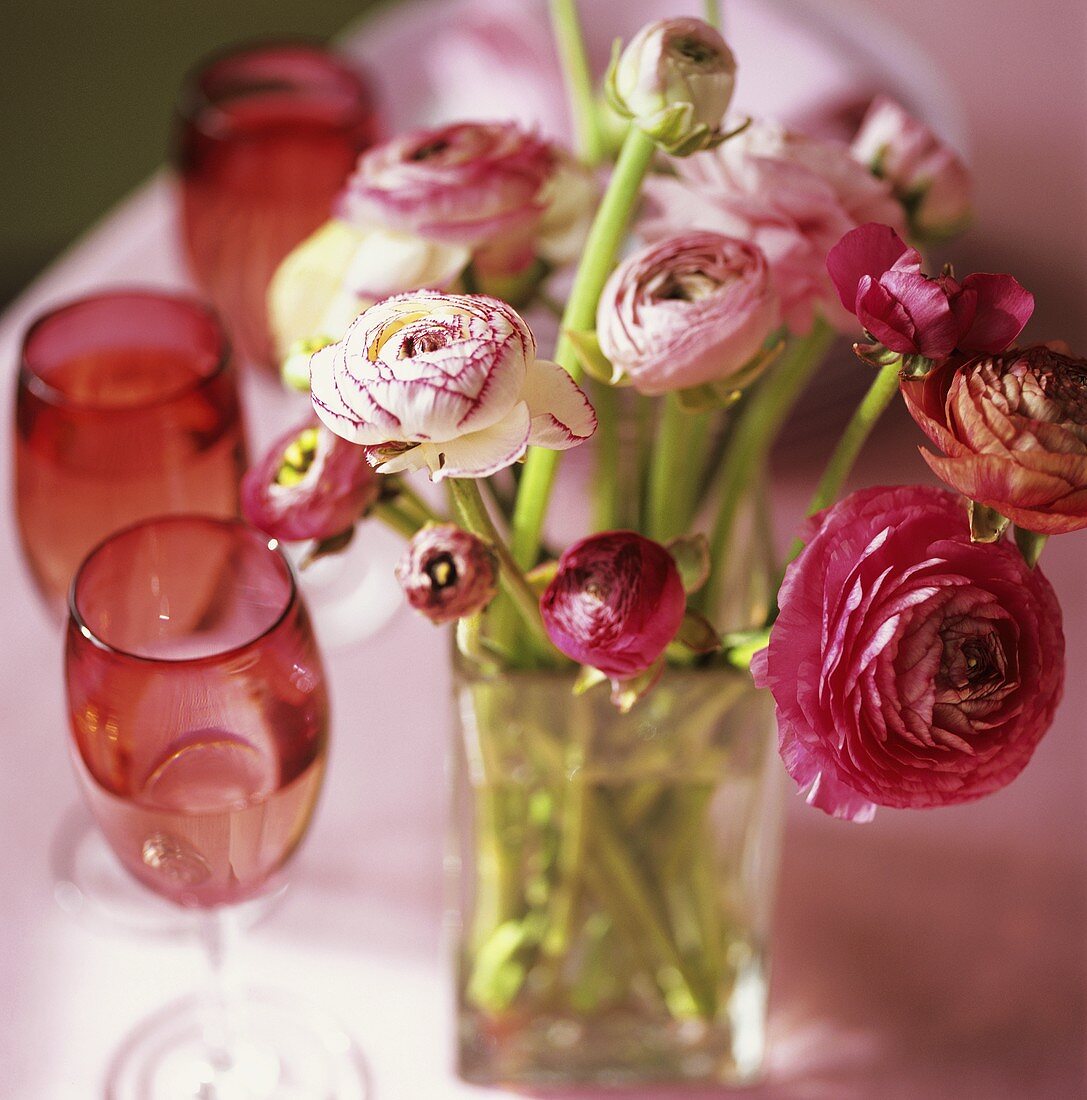 Ranunculus in a vase and red wine glasses
