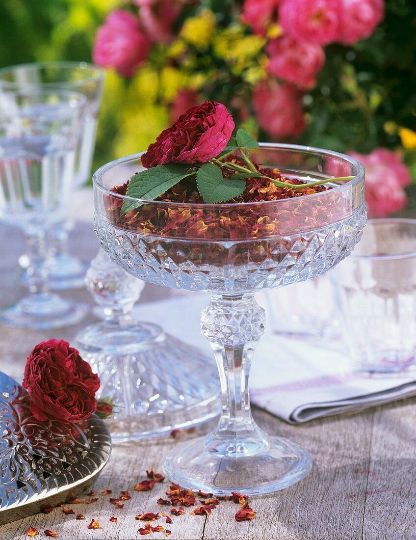 Getrocknete Rosenblätter und frische Rose im Glas
