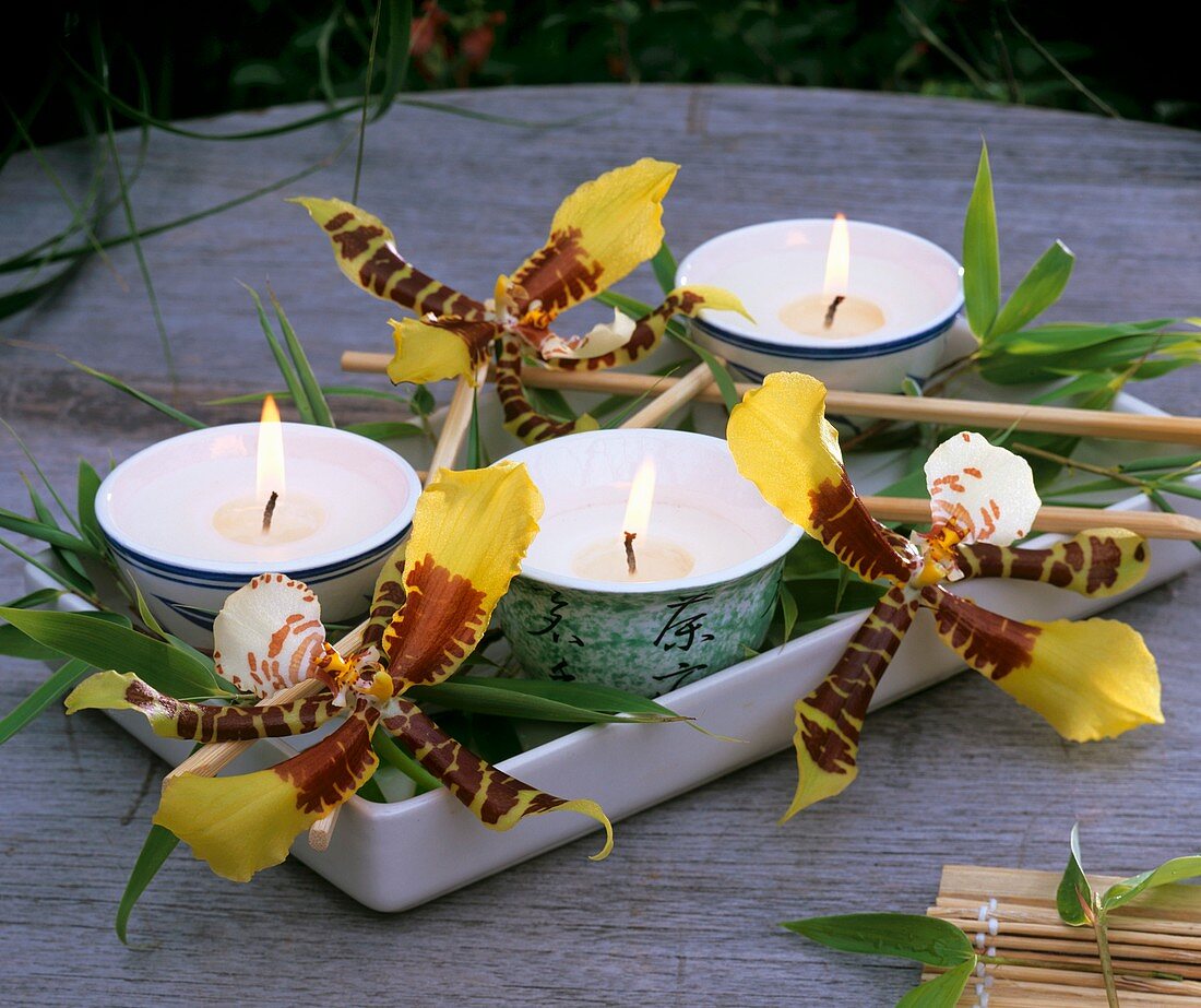 Tea lights with odontoglossum flowers & dwarf bamboo leaves