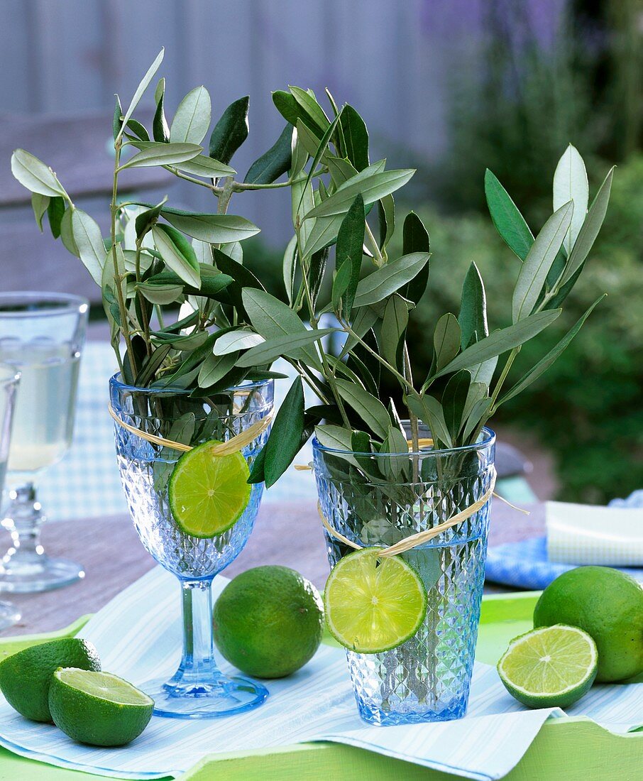 Bunches of olive branches in glasses decorated with lime slices