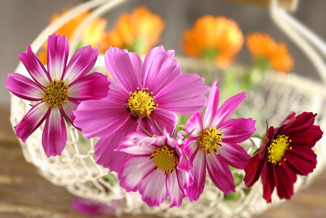 Various flowers in a wire basket