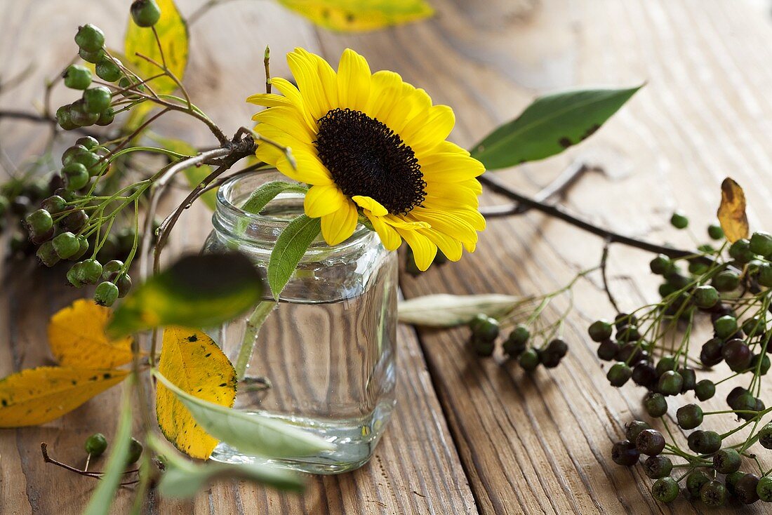 Sonnenblume im Glas und Aroniabeeren