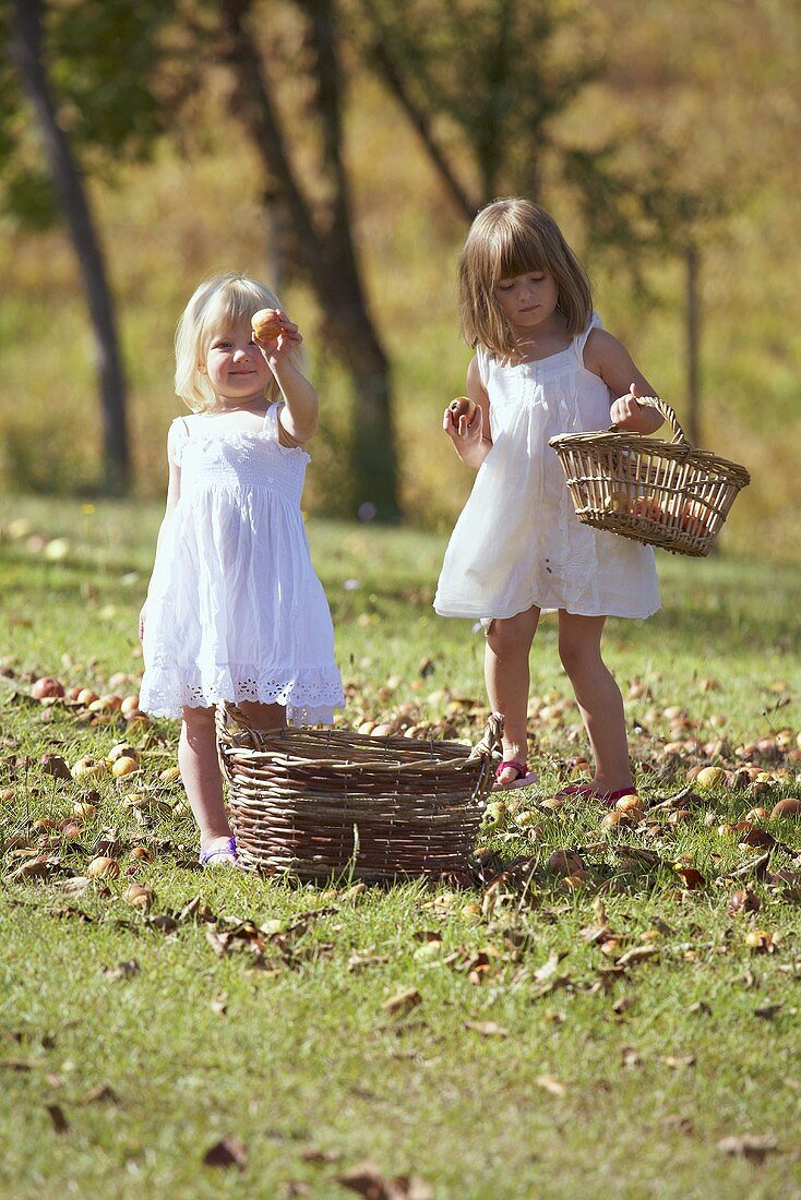 Zwei kleine Mädchen sammeln Äpfel auf der Wiese