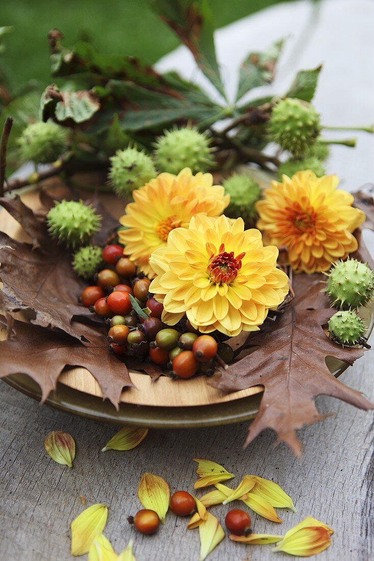 Herbstdeko aus Hagebutten, Blättern, Dahlien und Kastanien
