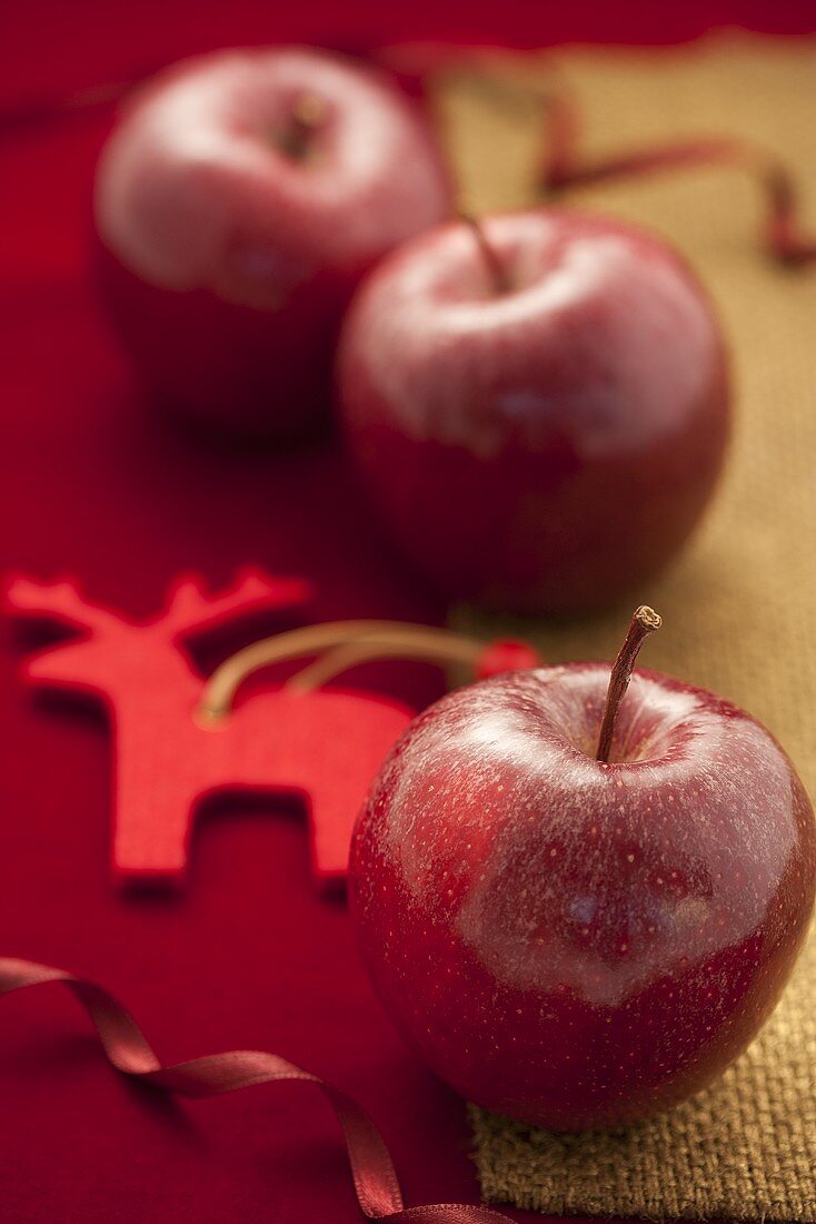 Drei rote Äpfel weihnachtlich dekoriert