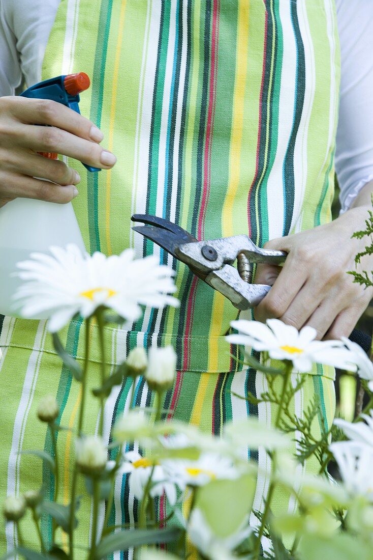 A woman with garden shears and a spray bottle with marguerites