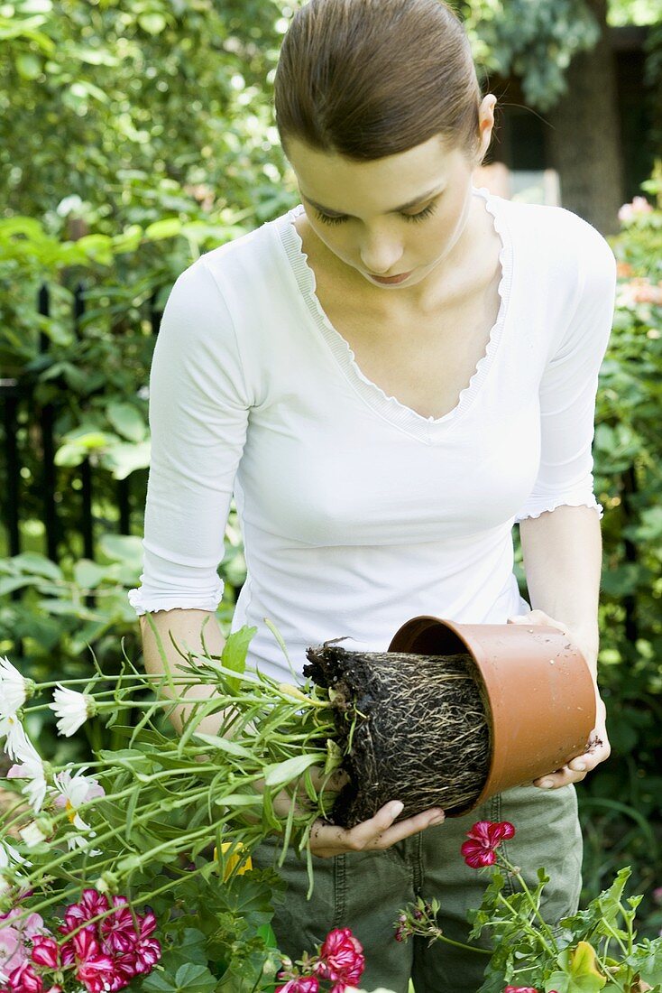 Junge Frau pflanzt Blume um