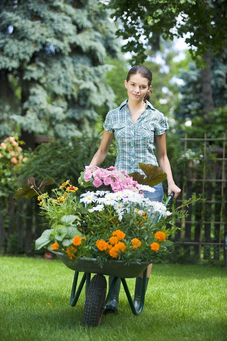 A young woman pushing a wheelbarrow full of flowers