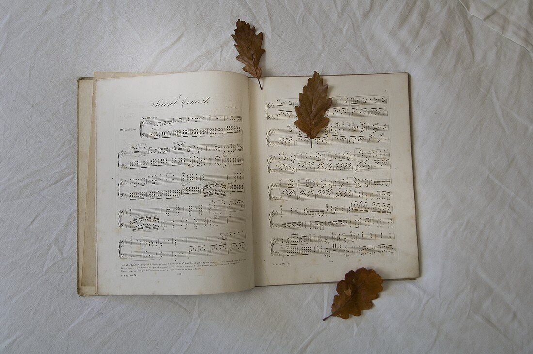 Notenbuch mit Herbstblättern
