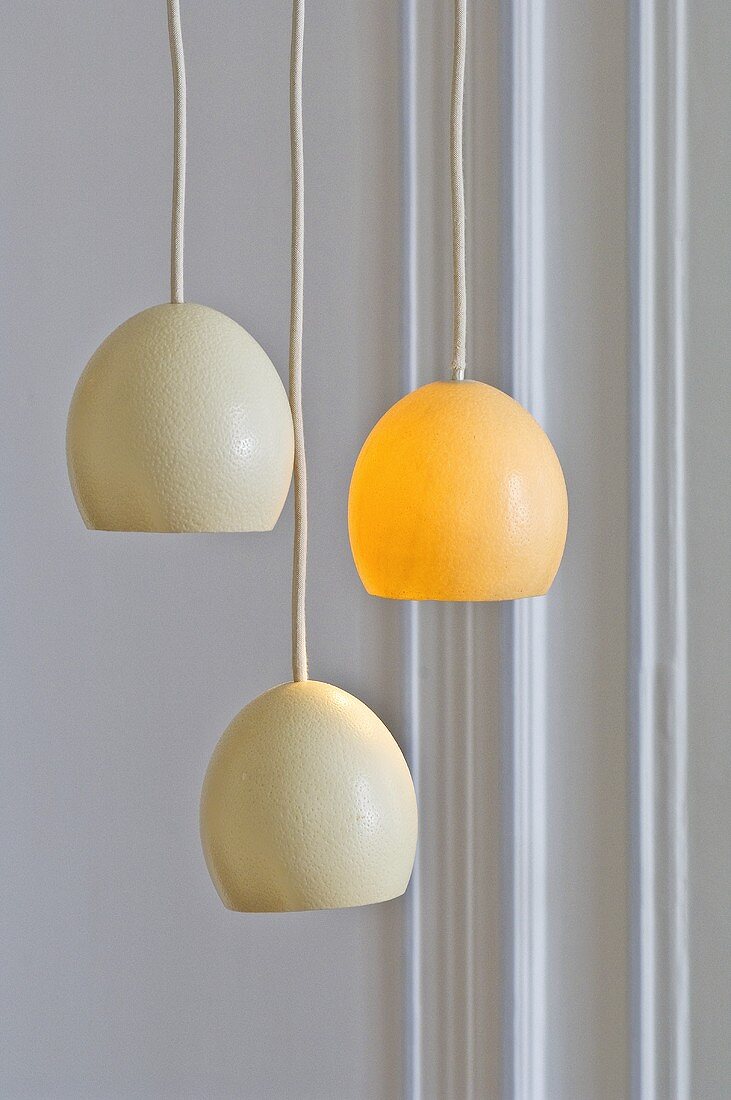 Lights made from ostrich eggs