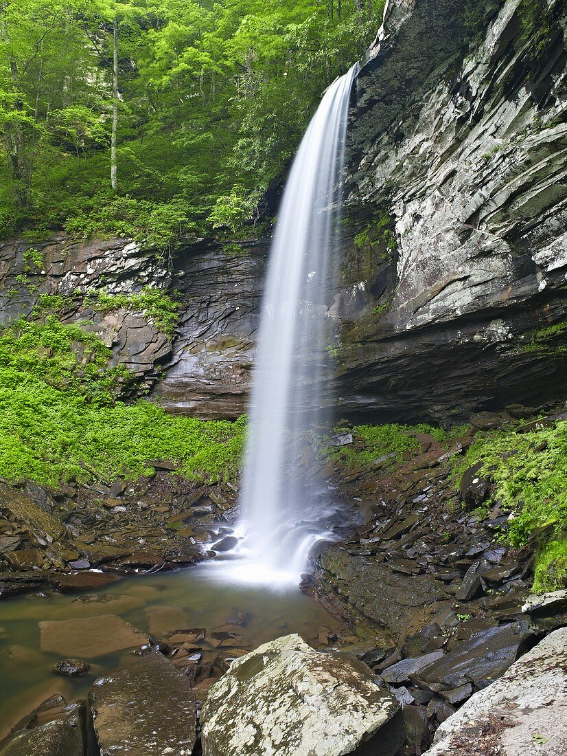 Waterfall (West Virginia, USA)