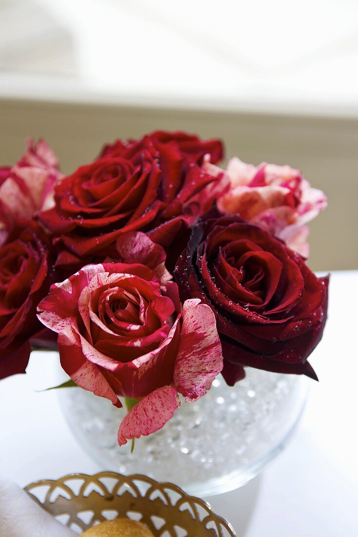 Rote Rosen in einer Vase