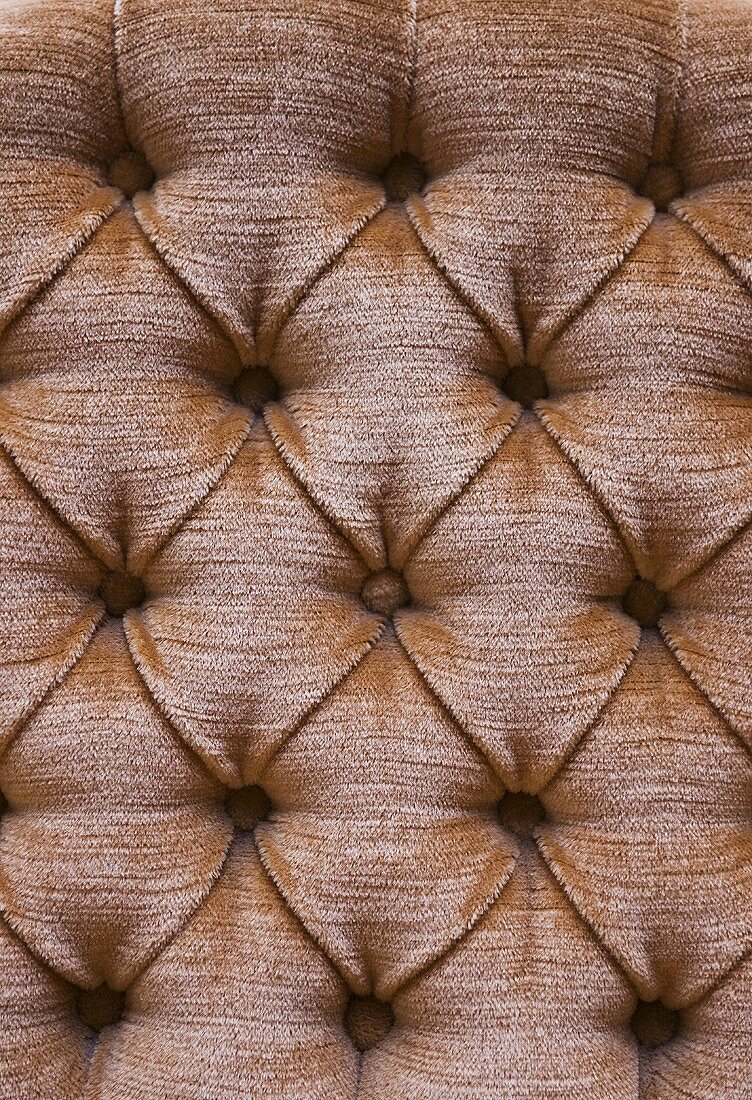 Upholstery with upholstery nails (detail)