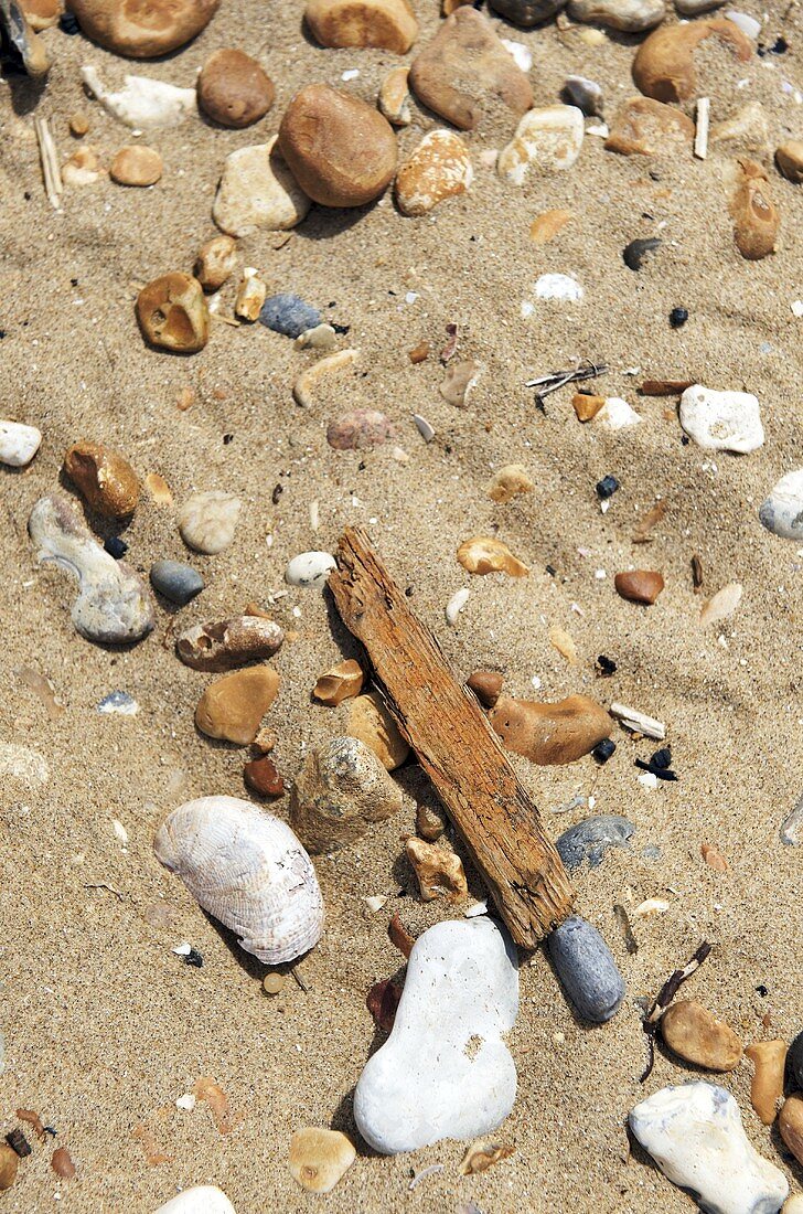 Steine im Sand an der Küste