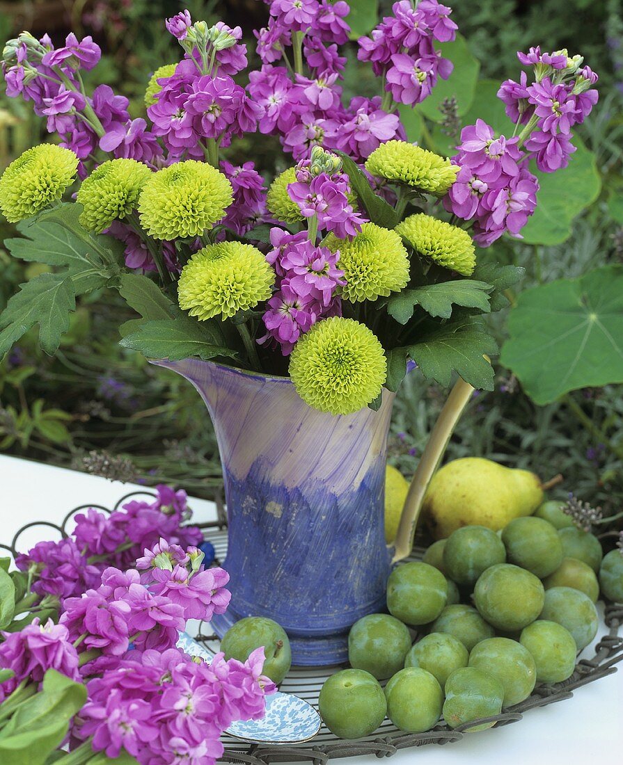 Greengages and jug of green chrysanthemums and stocks