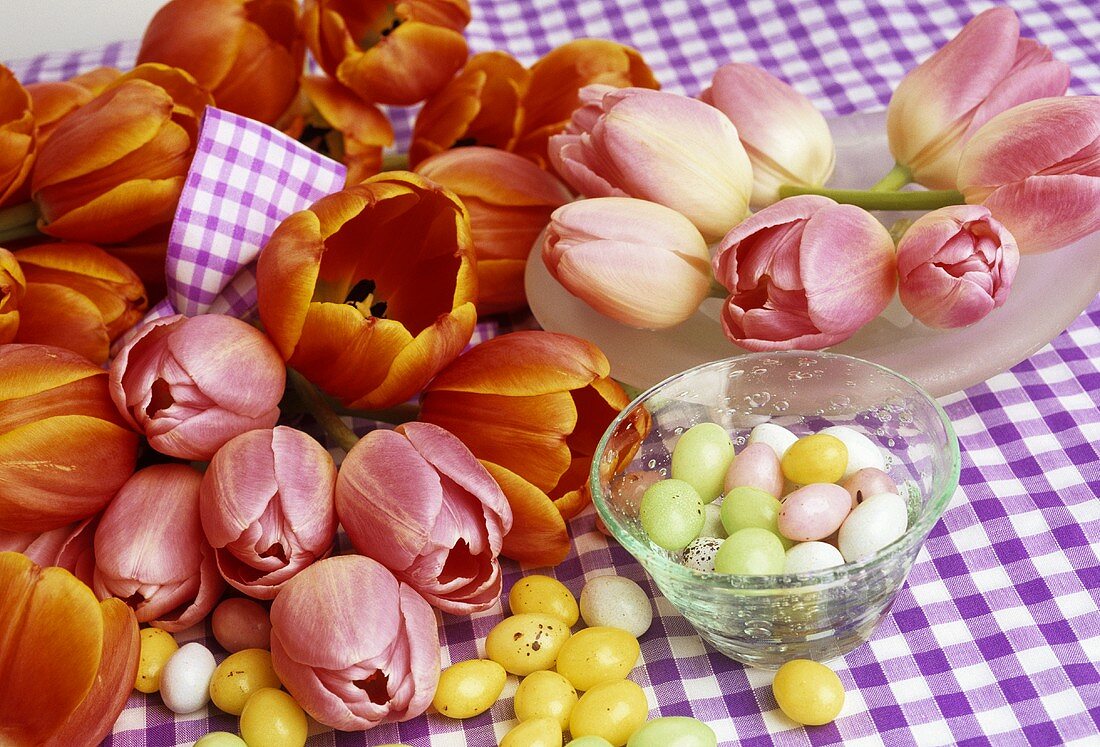 Tulips and coloured sugar eggs on checked tablecloth